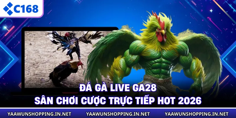Đá Gà Live GA28 - Sân Chơi Cược Trực Tiếp HOT 2026